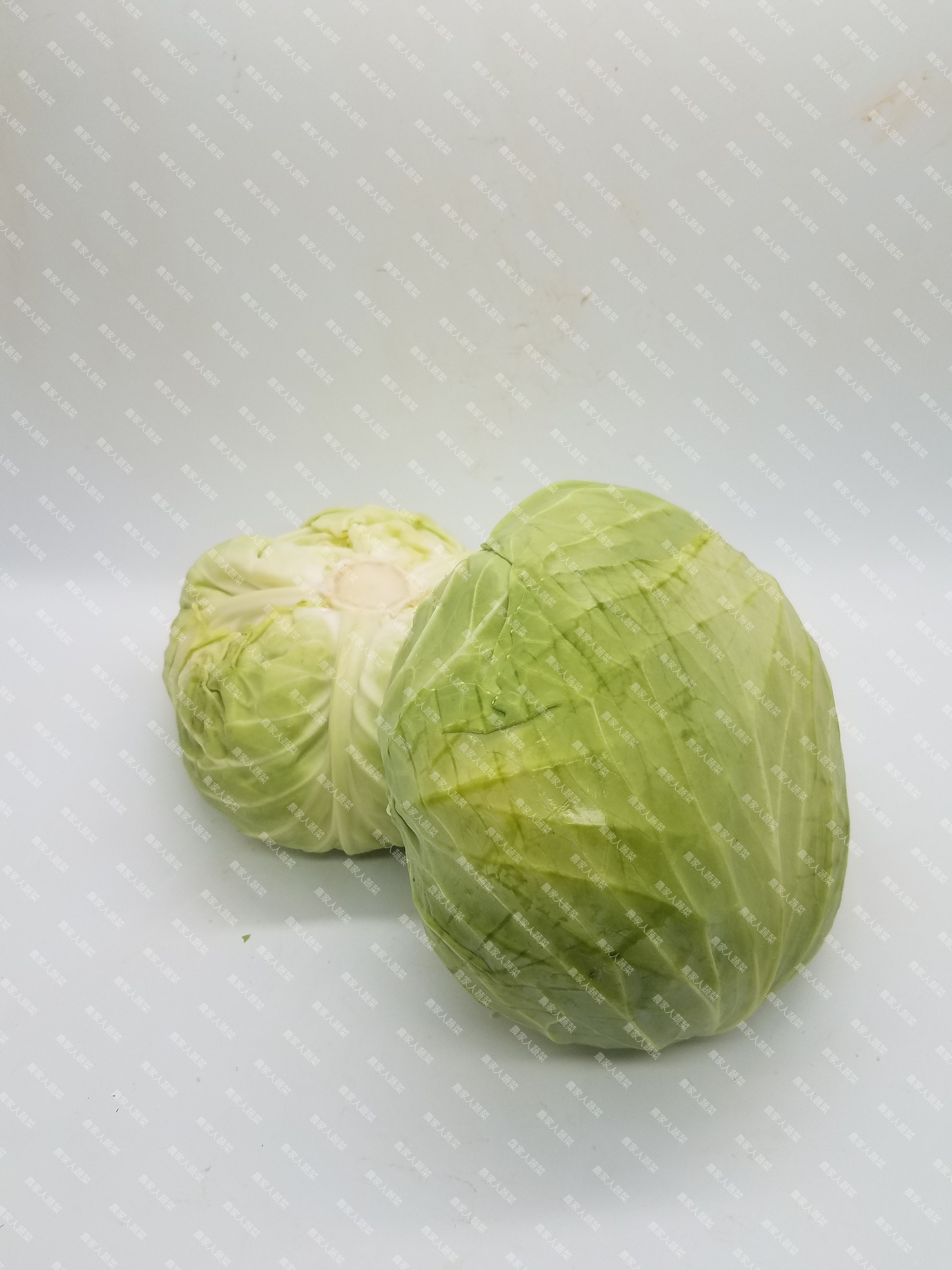 日本扁椰菜(原裝進口）