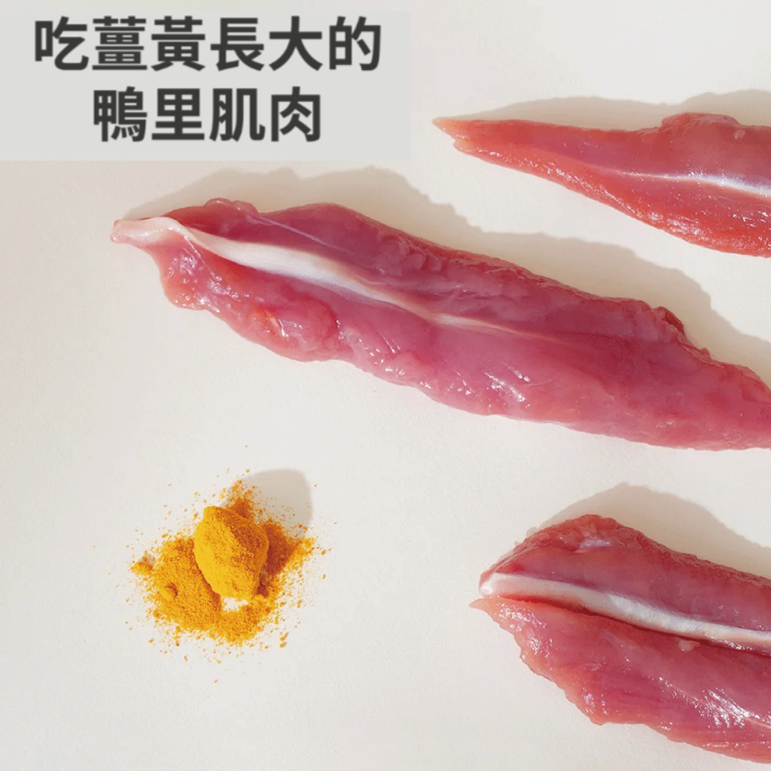 韓國朝貢 5km stick 粉色鴨胸肉(抵抗力) 犬貓肉泥