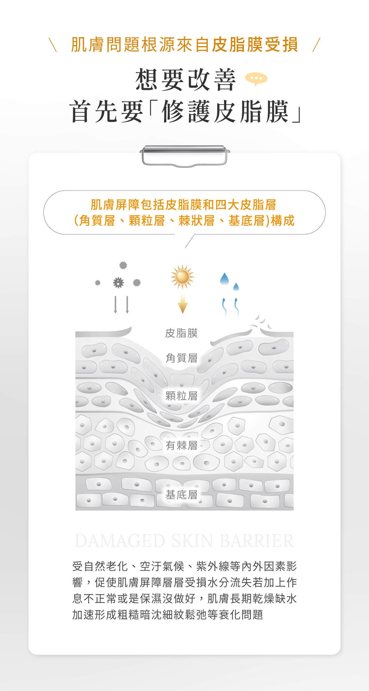 想要改善，首先要先「修護皮脂膜」