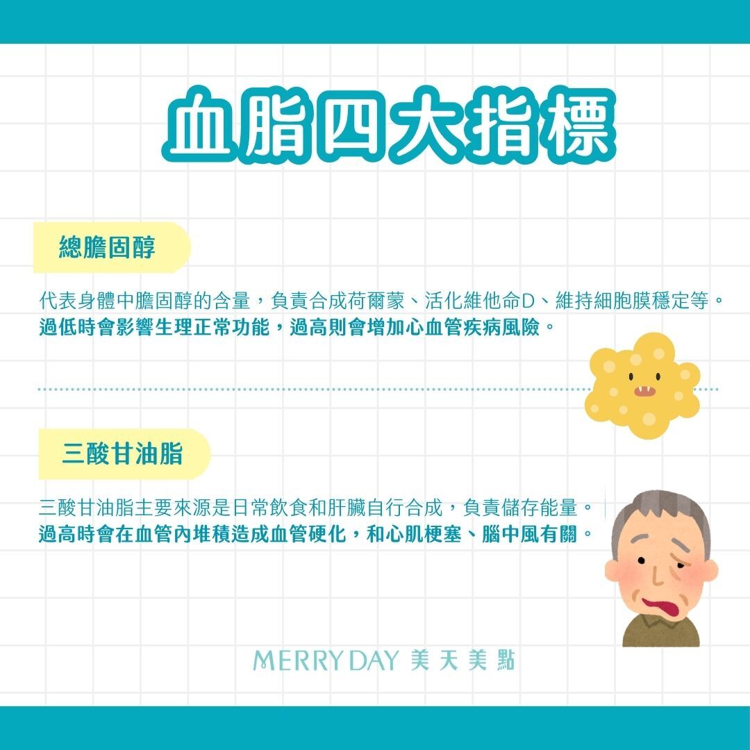 總膽固醇、三酸甘油脂