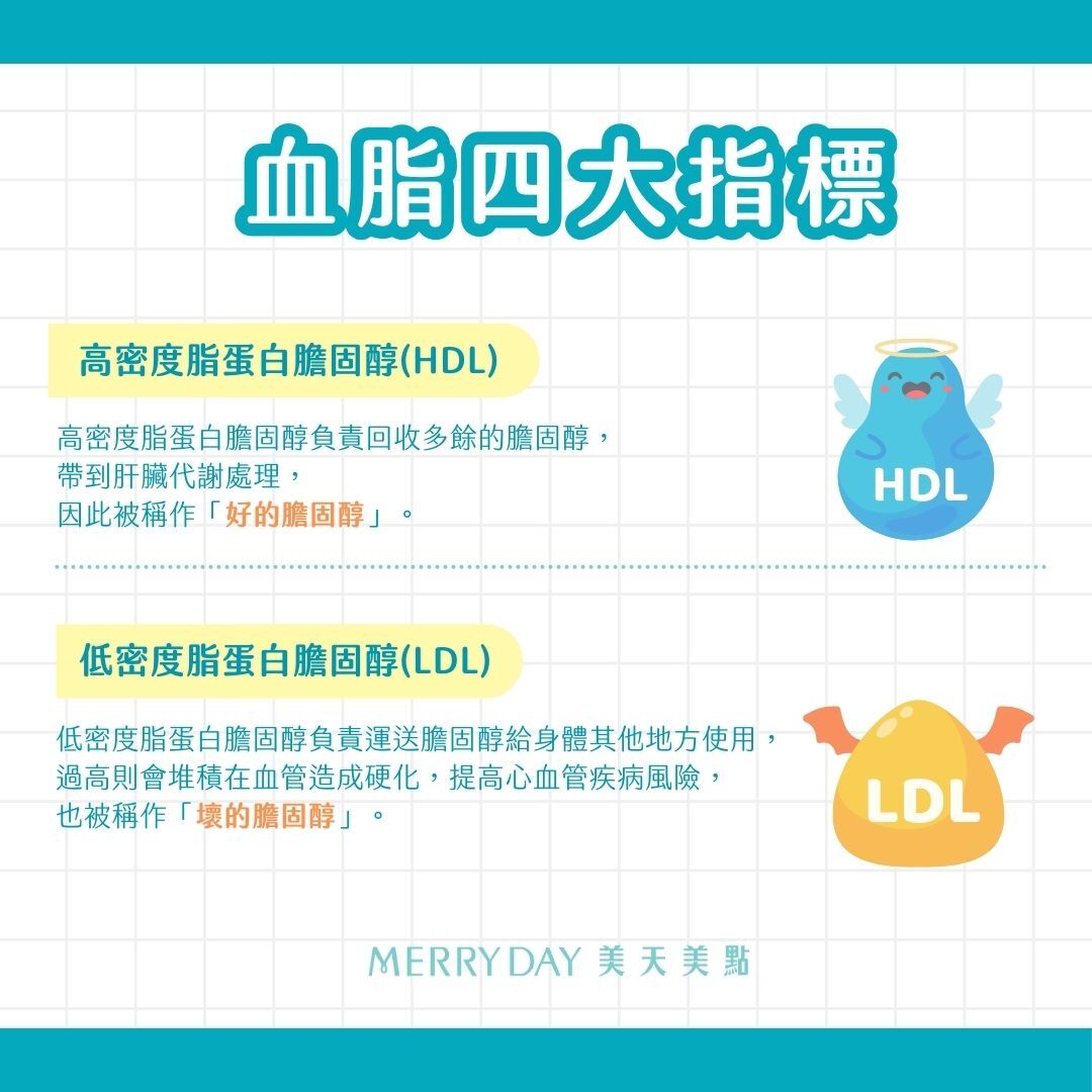 高密度脂蛋白膽固醇、HDL、低密度脂蛋白膽固醇、LDL