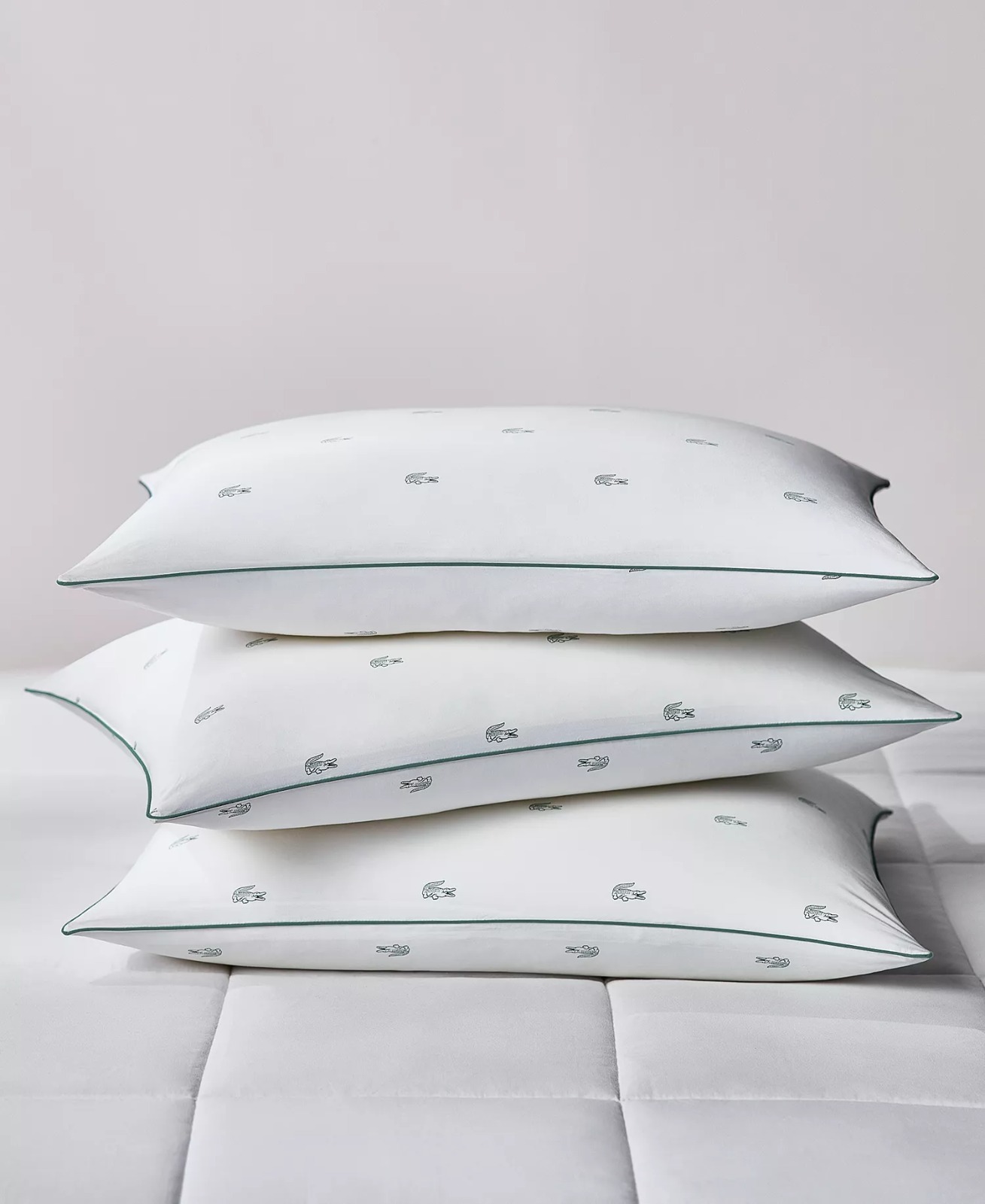 【預購】Q121610 Lacoste Home 棉質高密度枕頭