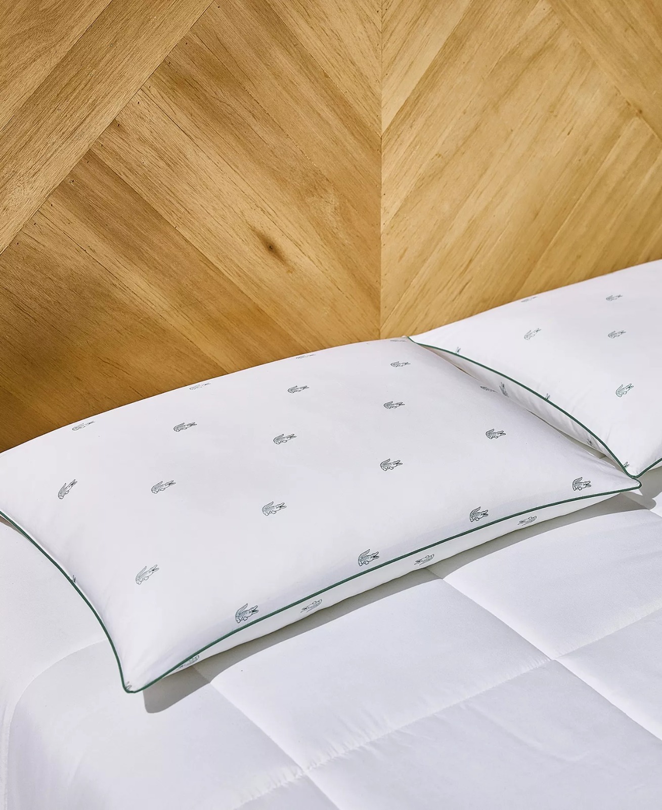 【預購】Q121610 Lacoste Home 棉質高密度枕頭