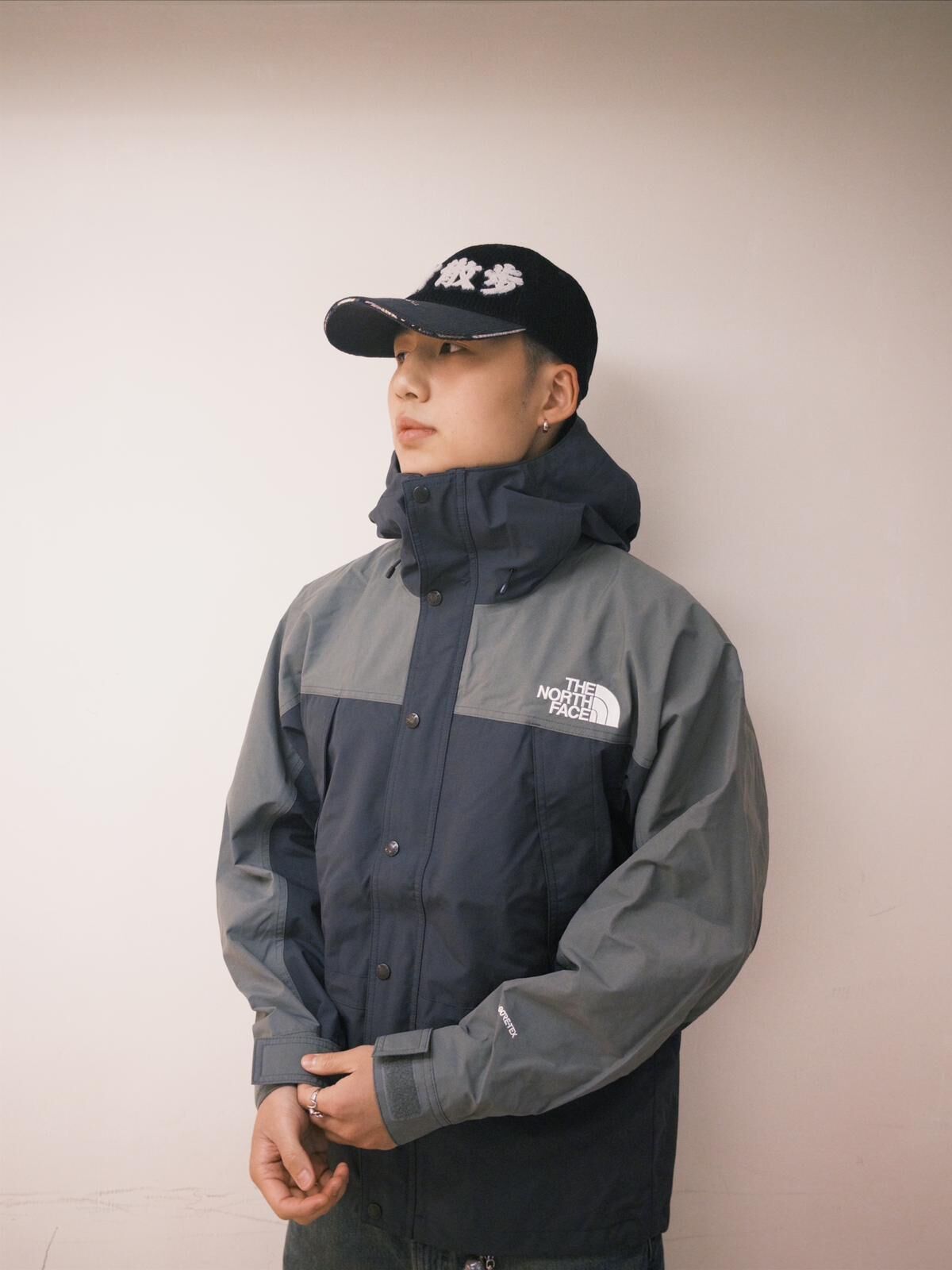 The North Face Mountain Light Jacket Green