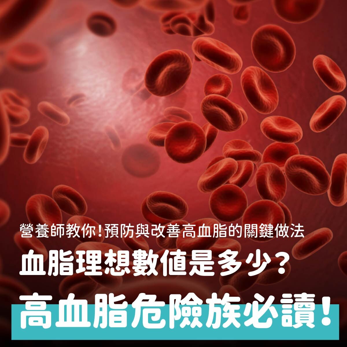 高血脂理想數值是多少?高血脂怎麼辦?改善高血脂做法