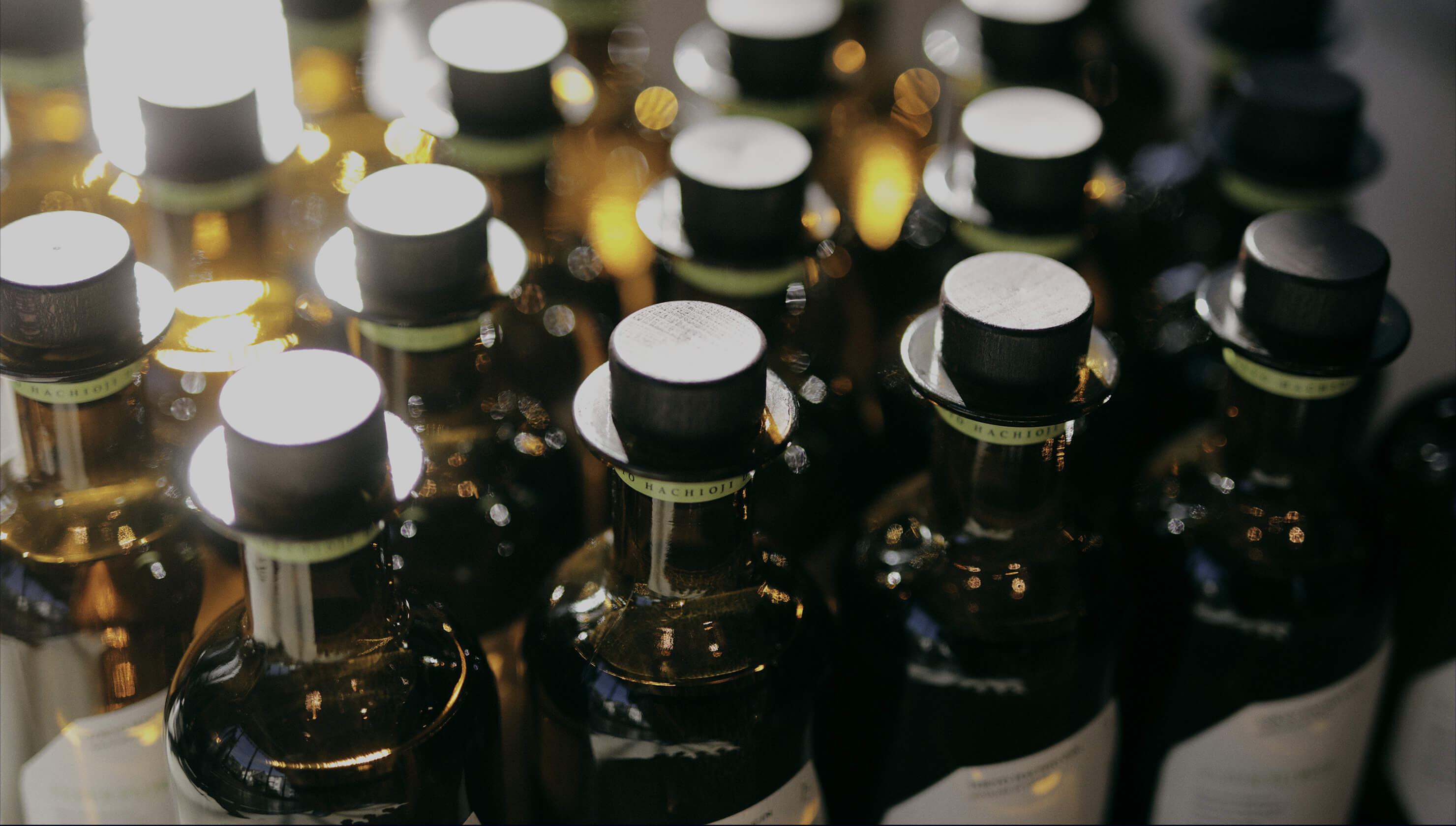 Bottles of Elderflower Gin lined up in soft lights