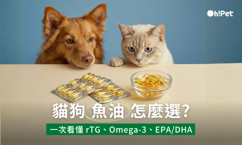 寵物魚油推薦