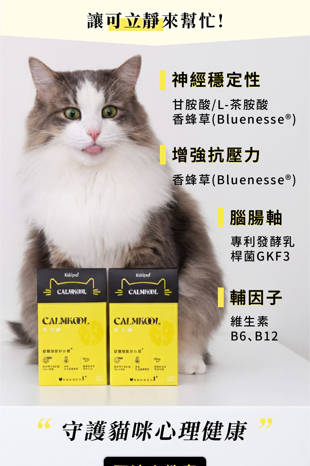 可立靜添加L-茶胺酸、香蜂草、專利微笑益生菌GKF3、維生素B6、維生素B12|可沛寵藥Koolpal