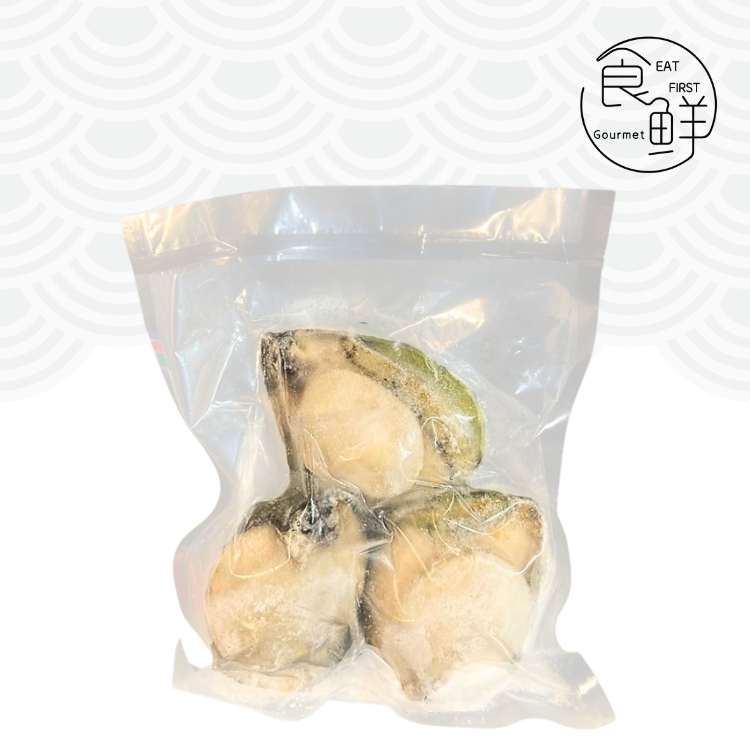 鮑魚王 南澳野生青邊鮑魚 (急凍 -18°C)