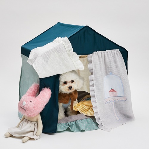 Louisdog 孔雀藍躲貓貓小屋