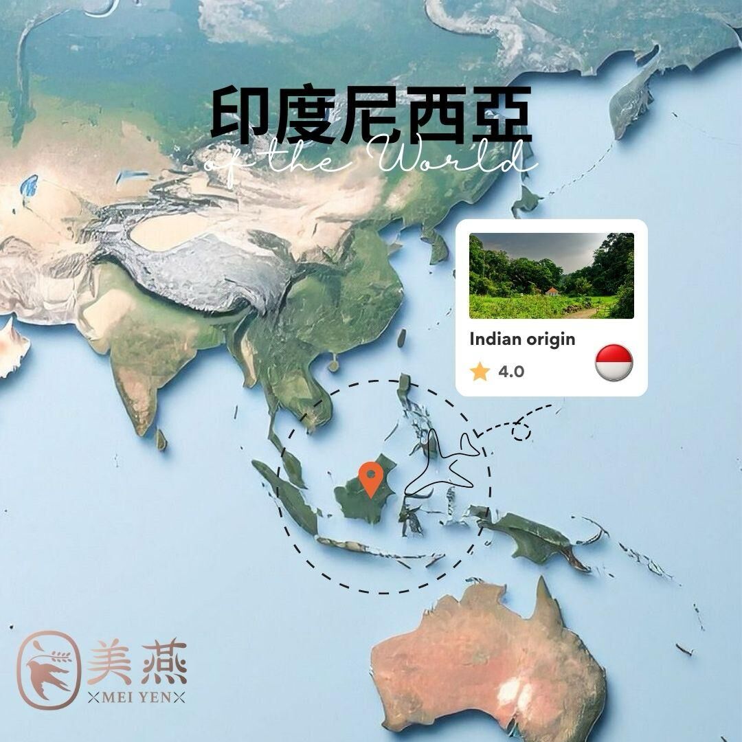 印尼燕窩產地分布圖｜世界燕窩主要產地解析