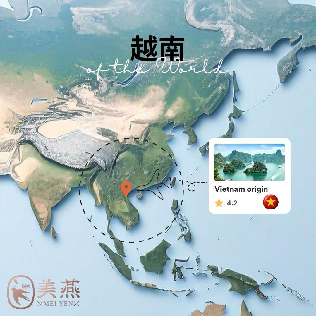 越南燕窩產地分布與市場風險｜世界燕窩產地解析