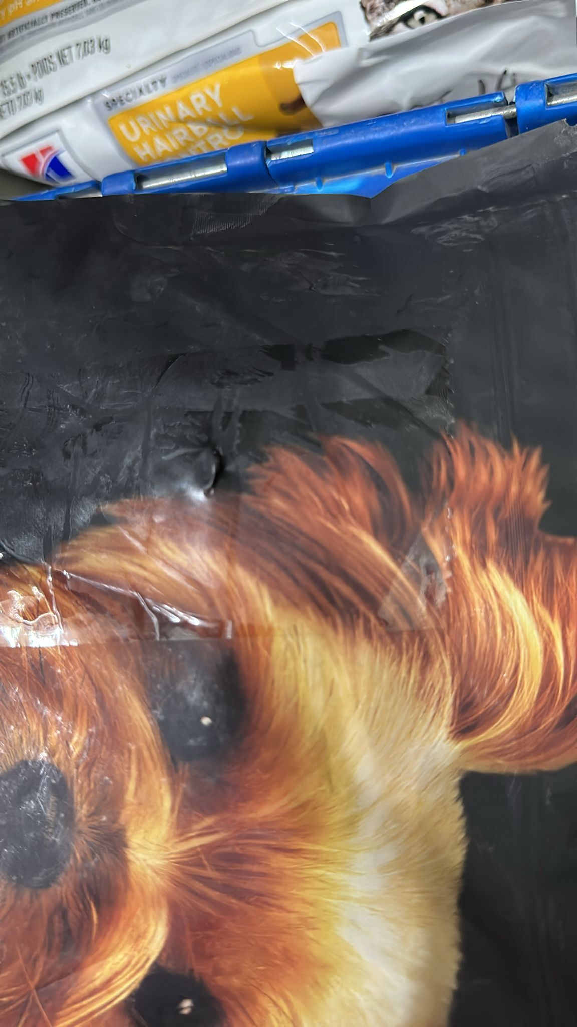 {包裝損壞OCT15}*9折*(EXP:2027年1月1日)Oven-Baked 成犬系列 紐西蘭羊肉糙米配方 細粒．12.5lb