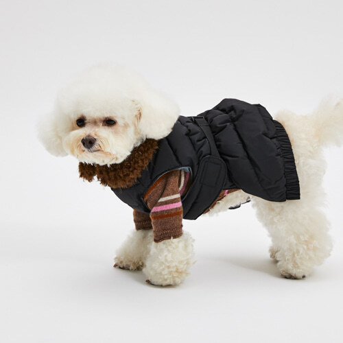 Louisdog 森林棕條紋喀什米爾高領衫