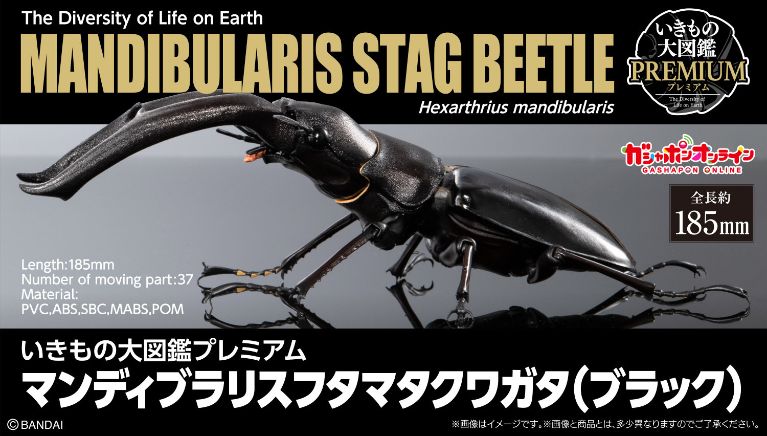 [魂SHOP限定GOL] 生物大圖鑑 巨顎叉角鍬形蟲 (黑色) [GOL]THE DIVERSITY OF LIFE ON EARTH PREMIUM HEXARTHRIUS MANDIBULARIS (BLACK)