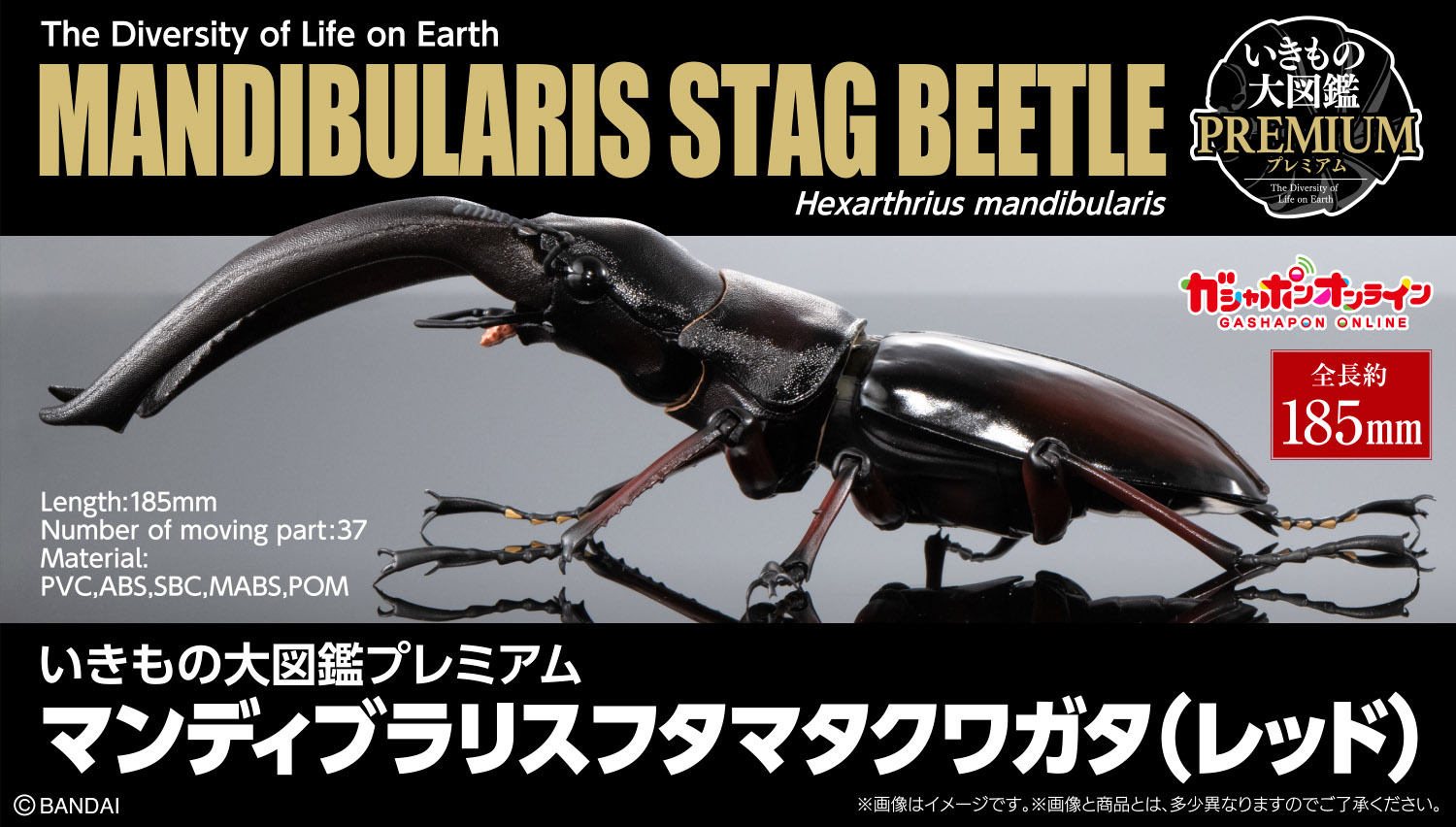 [魂SHOP限定GOL] 巨顎叉角鍬形蟲 (紅色) [GOL]THE DIVERSITY OF LIFE ON EARTH PREMIUM HEXARTHRIUS MANDIBULARIS (RED)