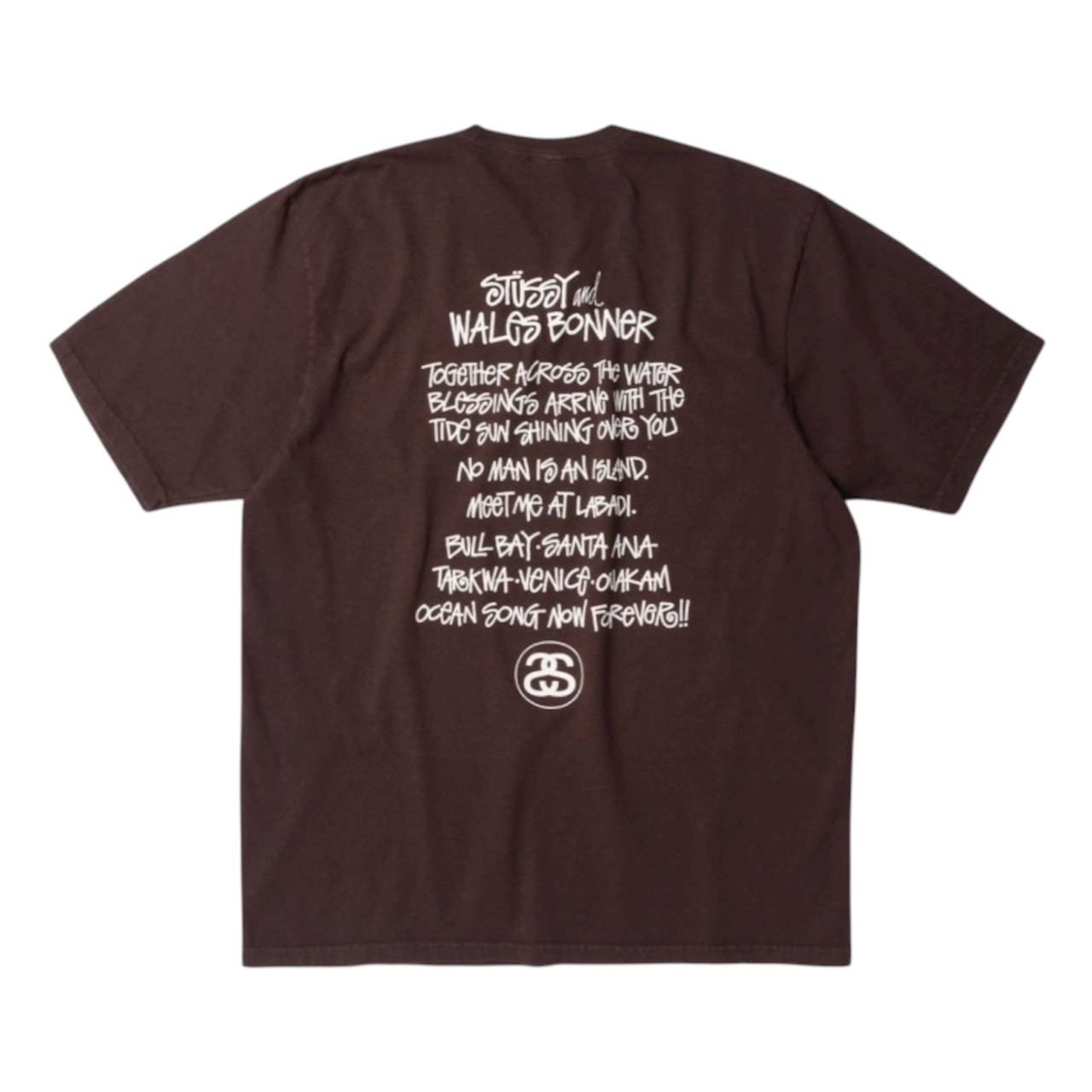 STUSSY WB OCEAN SONG TEE BROWN FULL SIZE