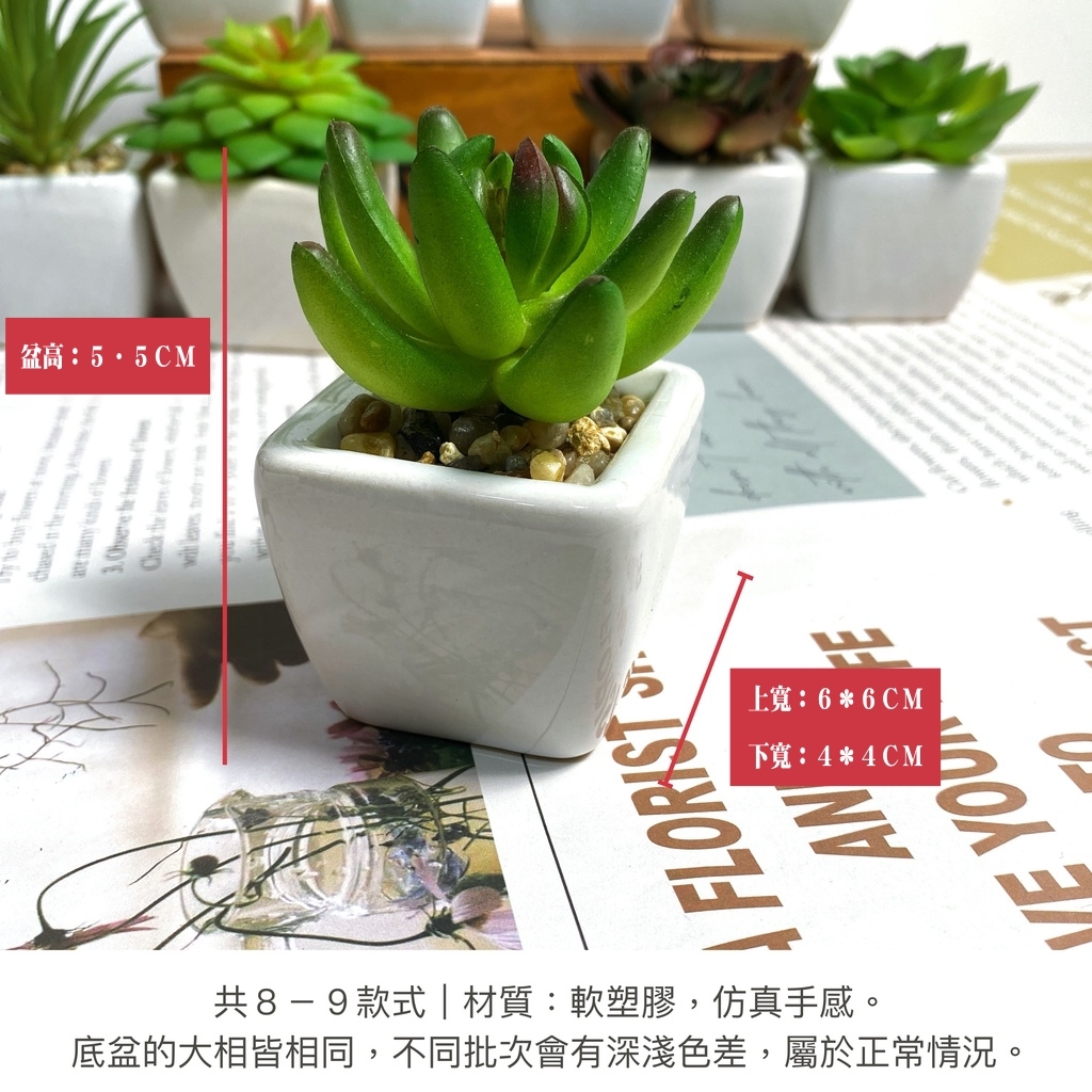 【台灣現貨速發】迷你多肉盆栽 仿真多肉植物 ｜６－９種不同款式｜人造 多肉 生活裝飾 盆栽