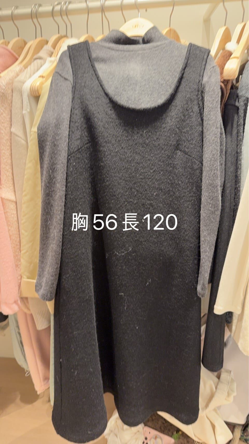 LY5317 刷毛背心連身裙