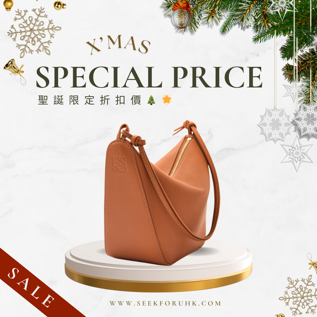 LOEWE Hammock Mini Hobo