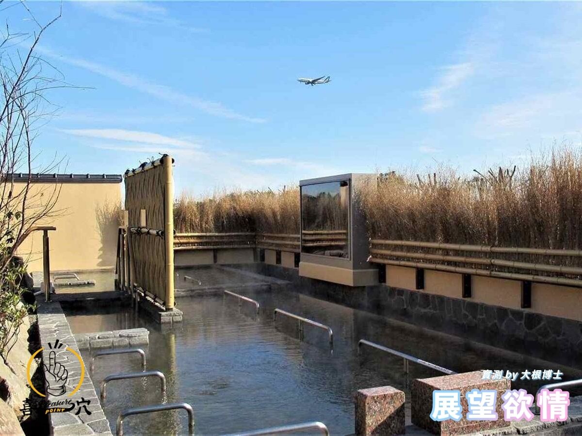 Toy's-Heart-展望欲情飛機杯-刺激度