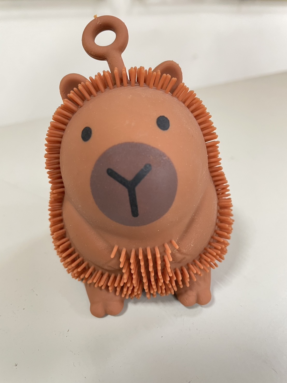 台南院｜卡皮巴拉(3隻)