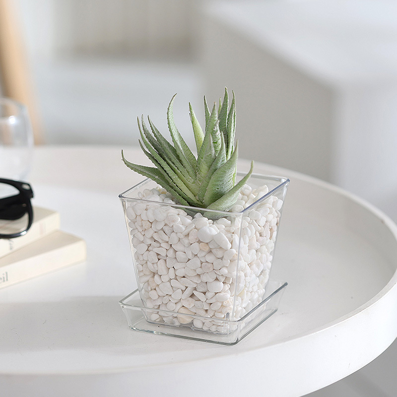 透明花盆/方形 Ø9cm