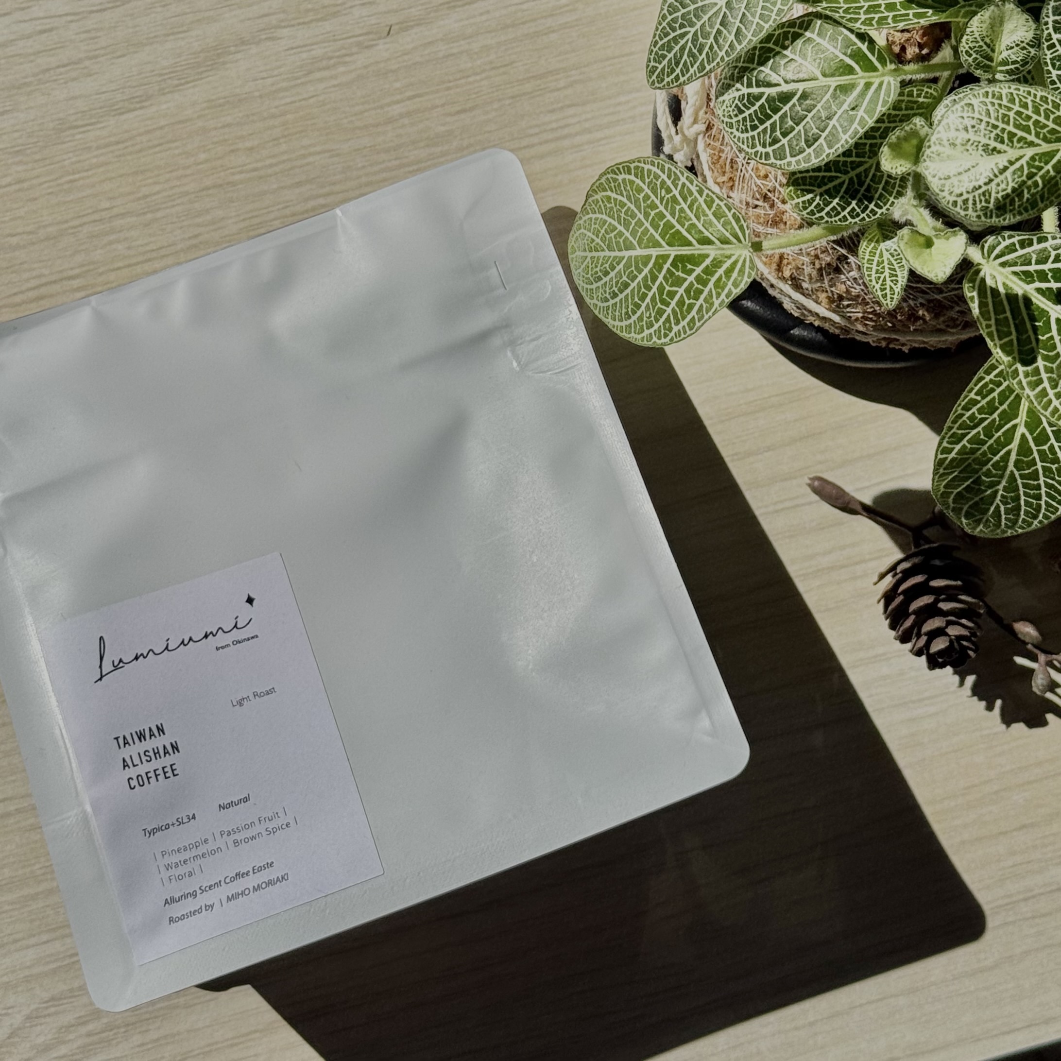 LUMI UMI - 台灣阿里山 香香久溢（森明美穗烘豆）