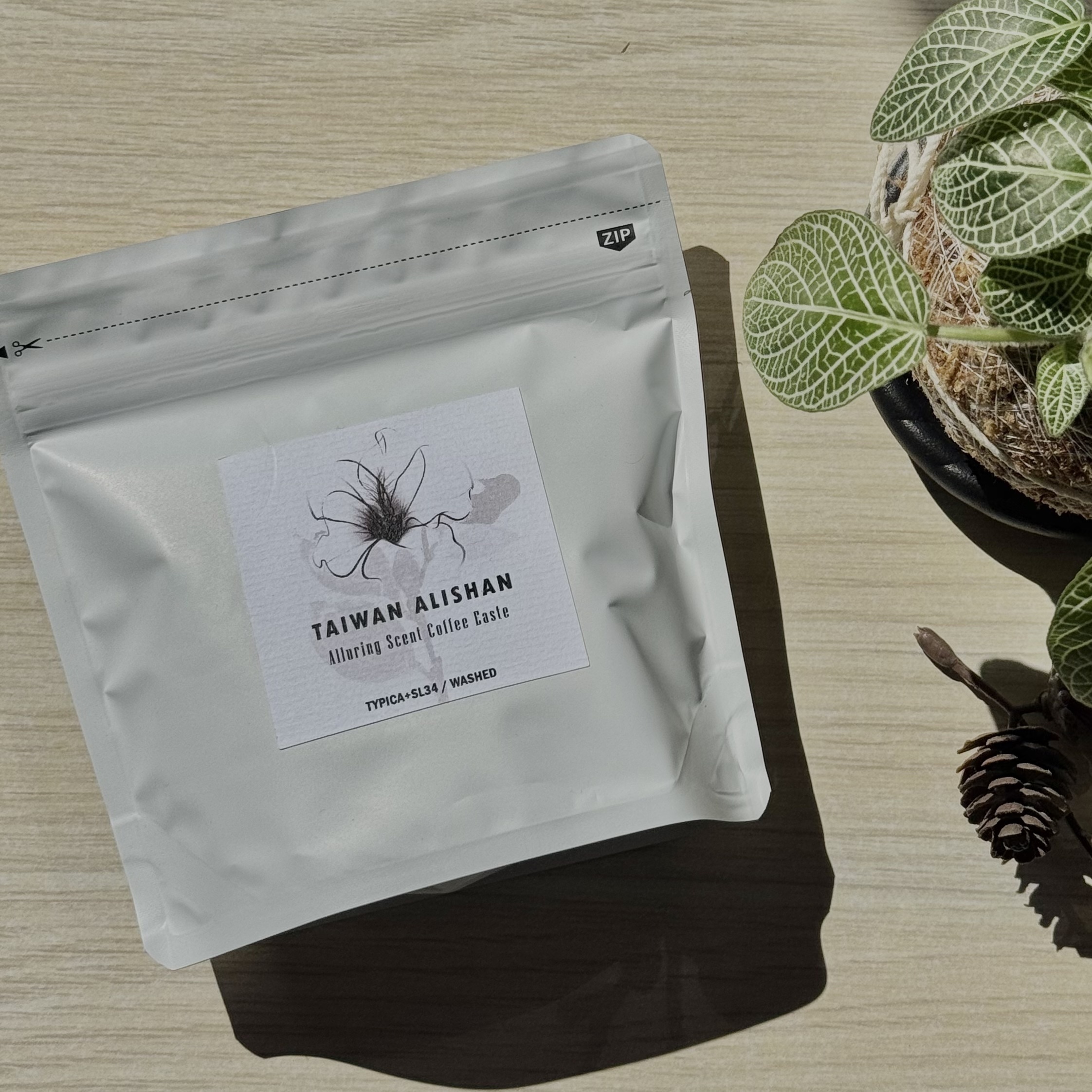 根本在旅行 - 台灣阿里山 香香久溢（森明美穗烘豆）