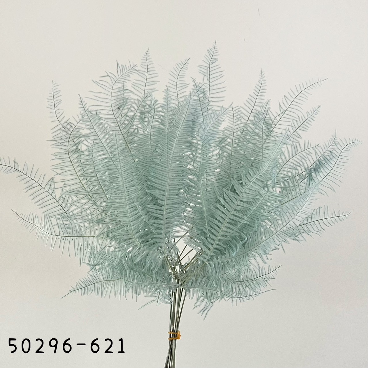 日本不凋芒萁 50296-621