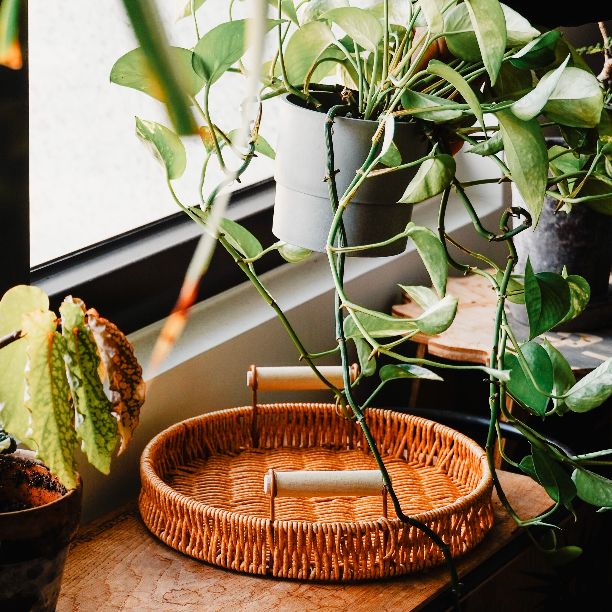 藤編圓形手提收納籃 二款售