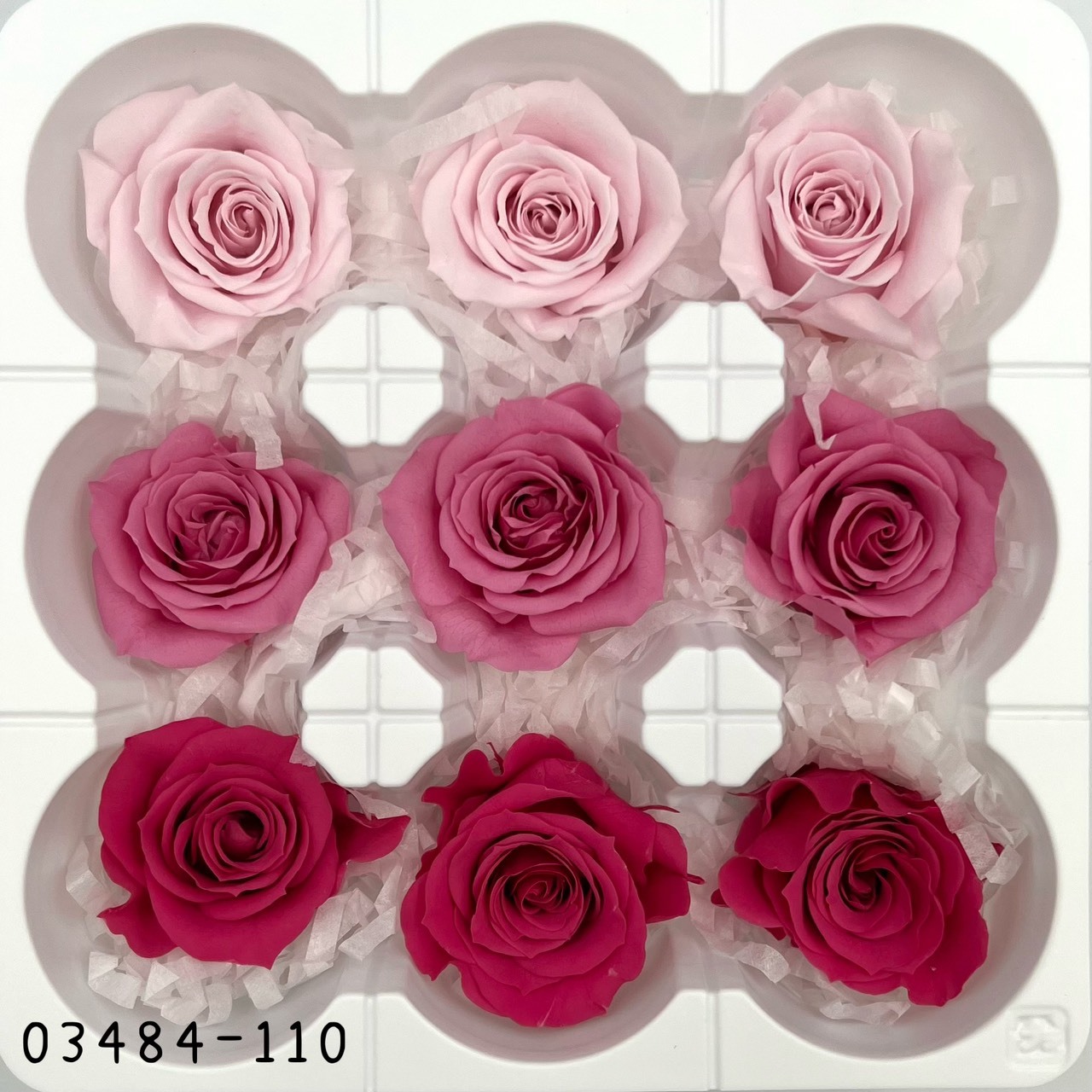 日本不凋中輪玫瑰(9朵) 03484-110