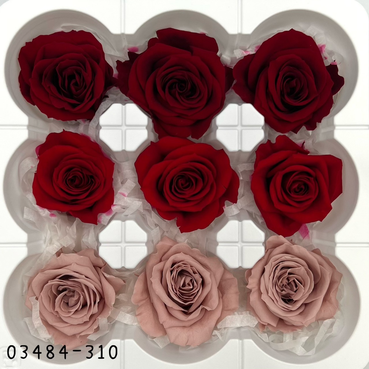 日本不凋中輪玫瑰(9朵) 03484-310