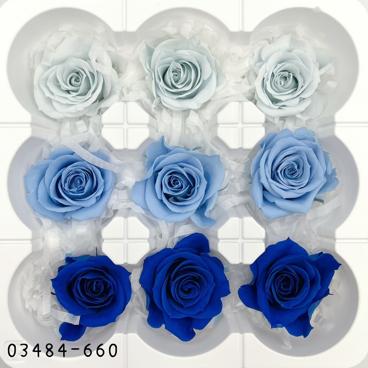 日本不凋中輪玫瑰(9朵) 03484-660