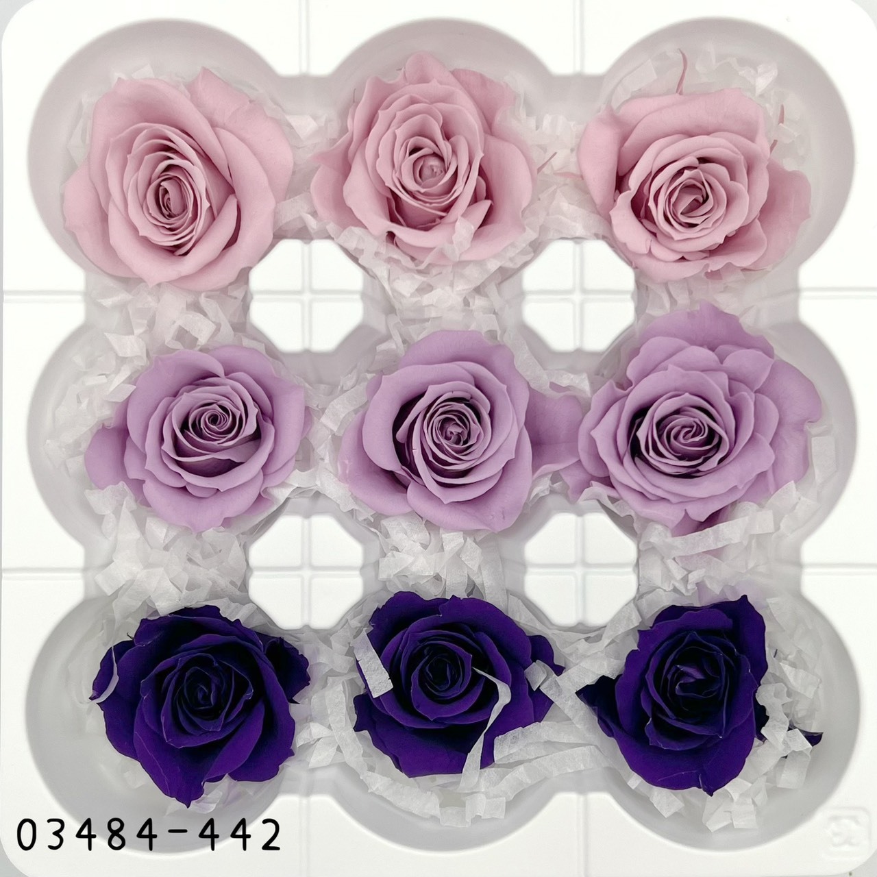 日本不凋中輪玫瑰(9朵) 03484-442