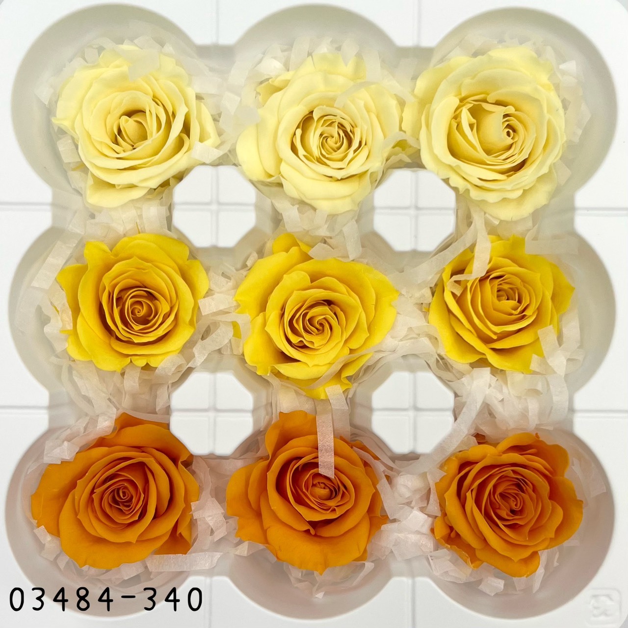 日本不凋中輪玫瑰(9朵) 03484-340