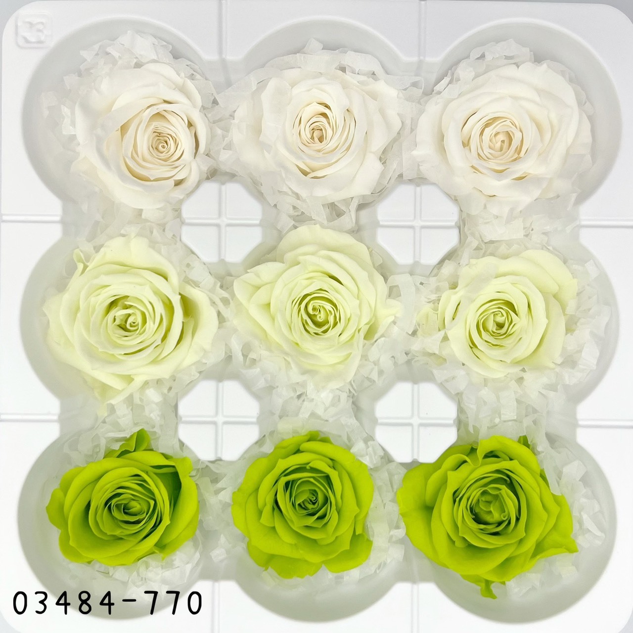 日本不凋中輪玫瑰(9朵) 03484-770