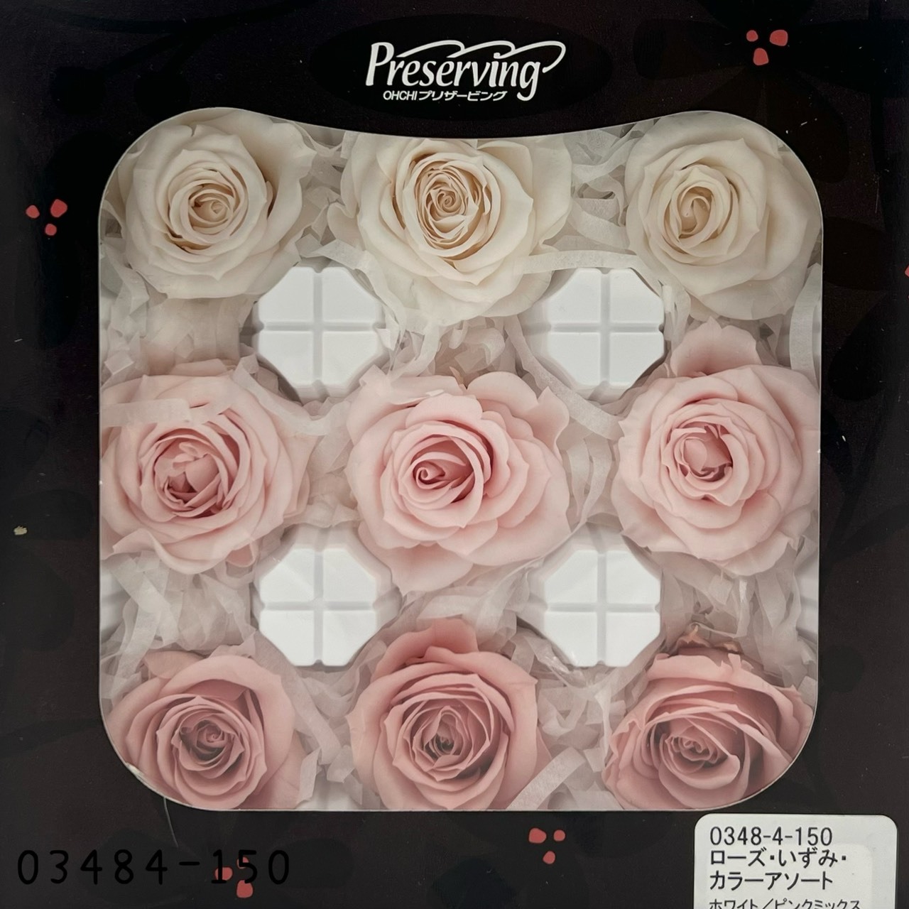 日本不凋中輪玫瑰(9朵) 03484-150