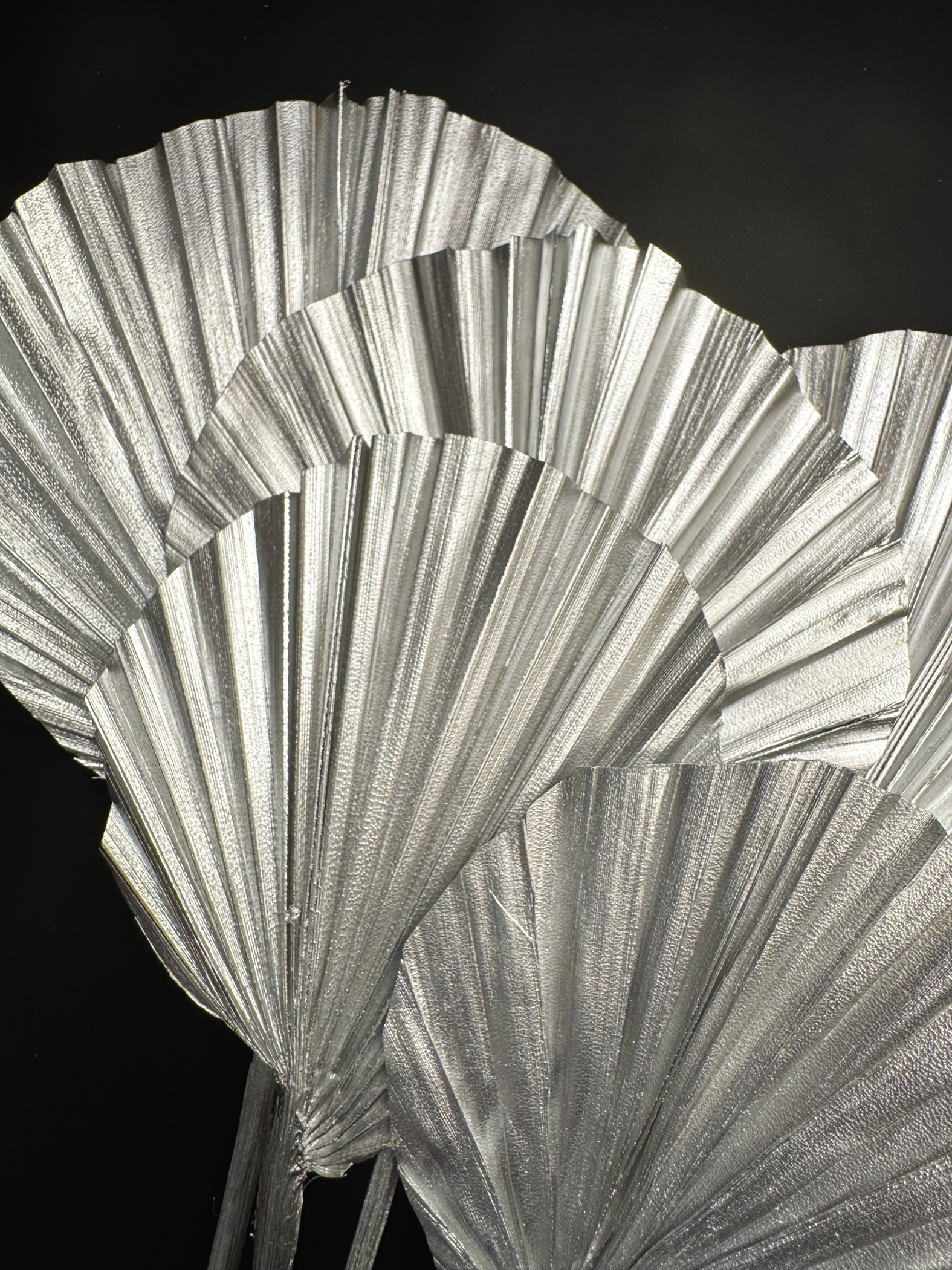 乾燥染色小蒲葵葉