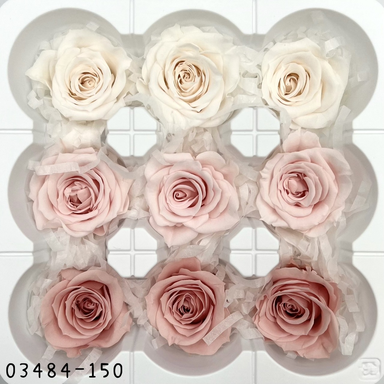 日本不凋中輪玫瑰(9朵) 03484-150