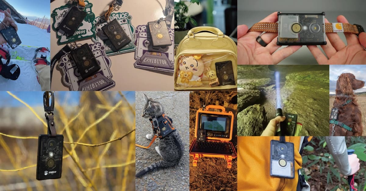 SenseCAP Card Tracker,T1000-E,Meshtastic,應用範圍