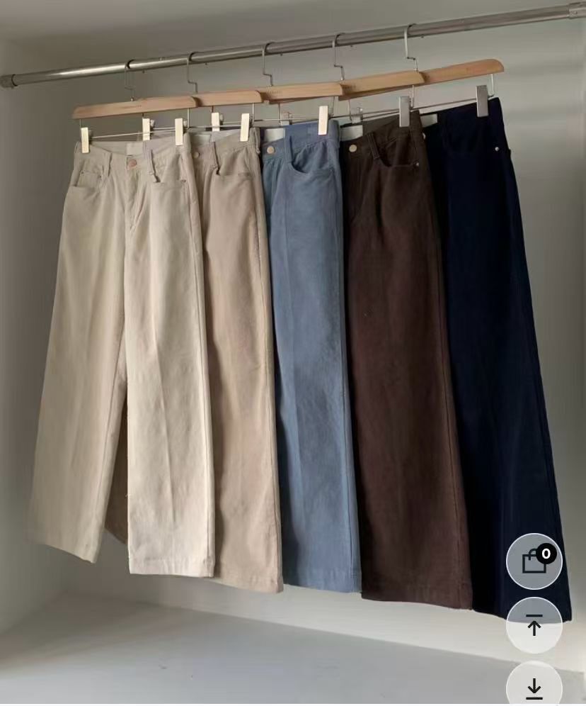 HL260 秋冬貴氣刷薄毛長褲