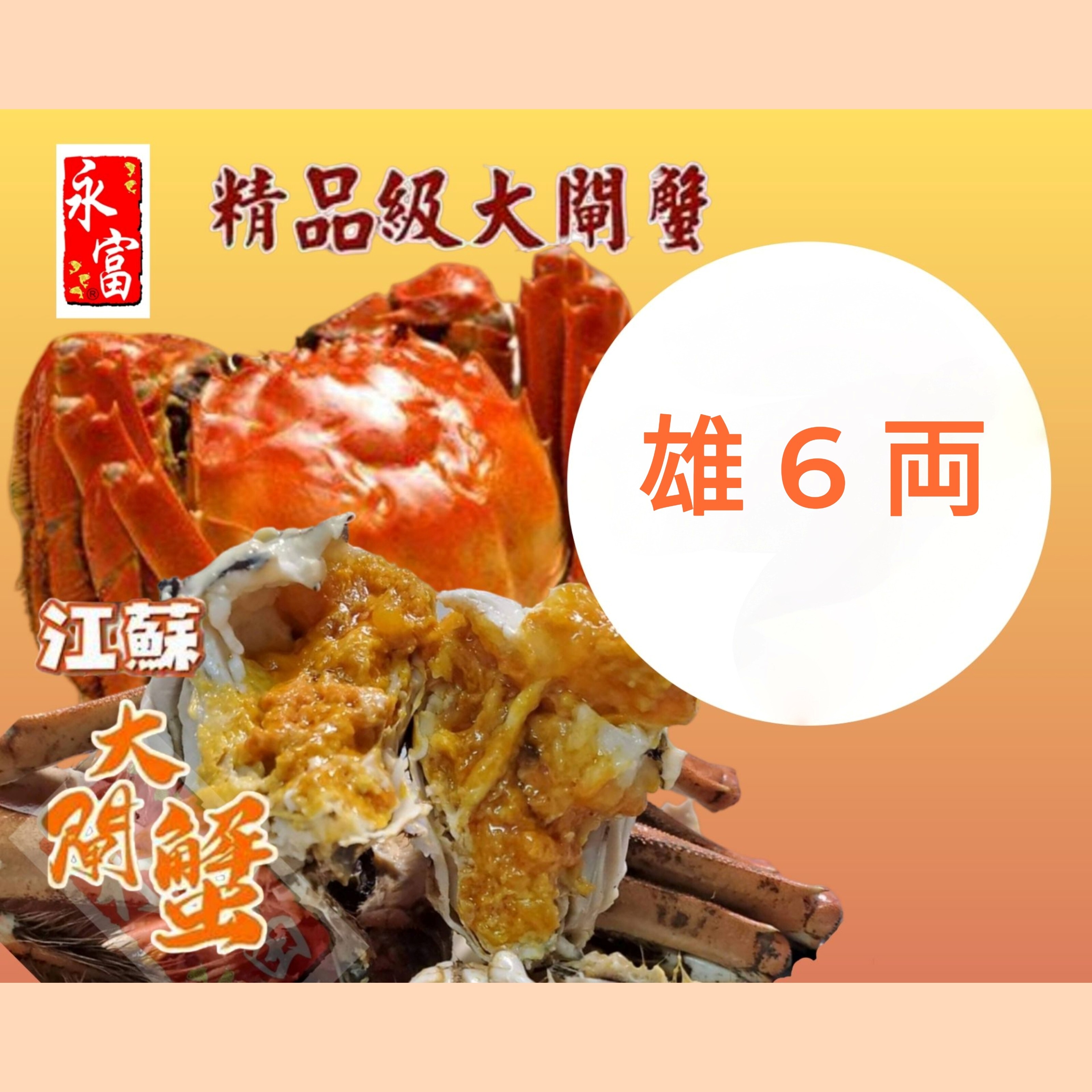 江蘇大閘蟹(雄約6兩)