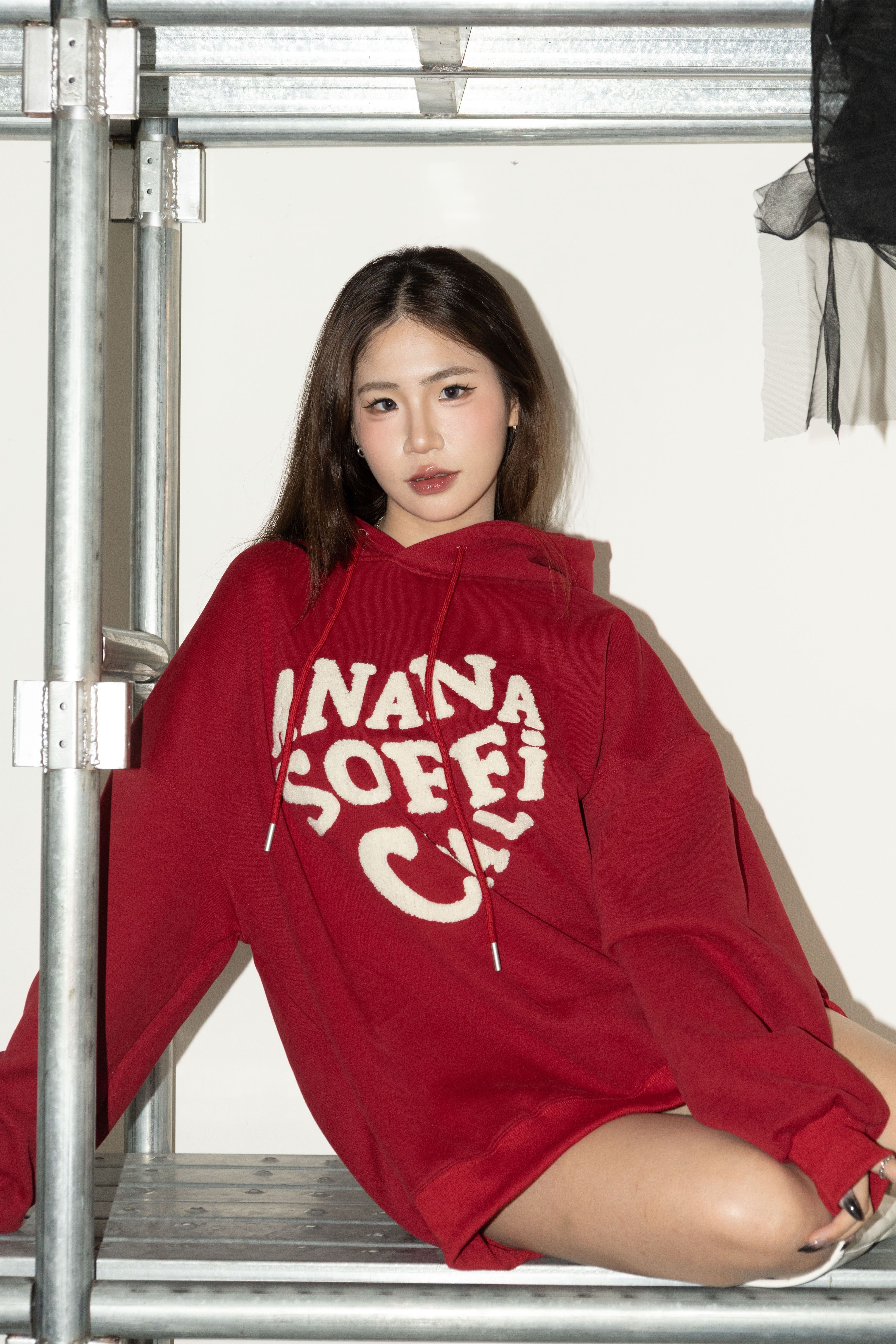 [ Ananas設計款✨] 品牌LOGO毛毛字帽T