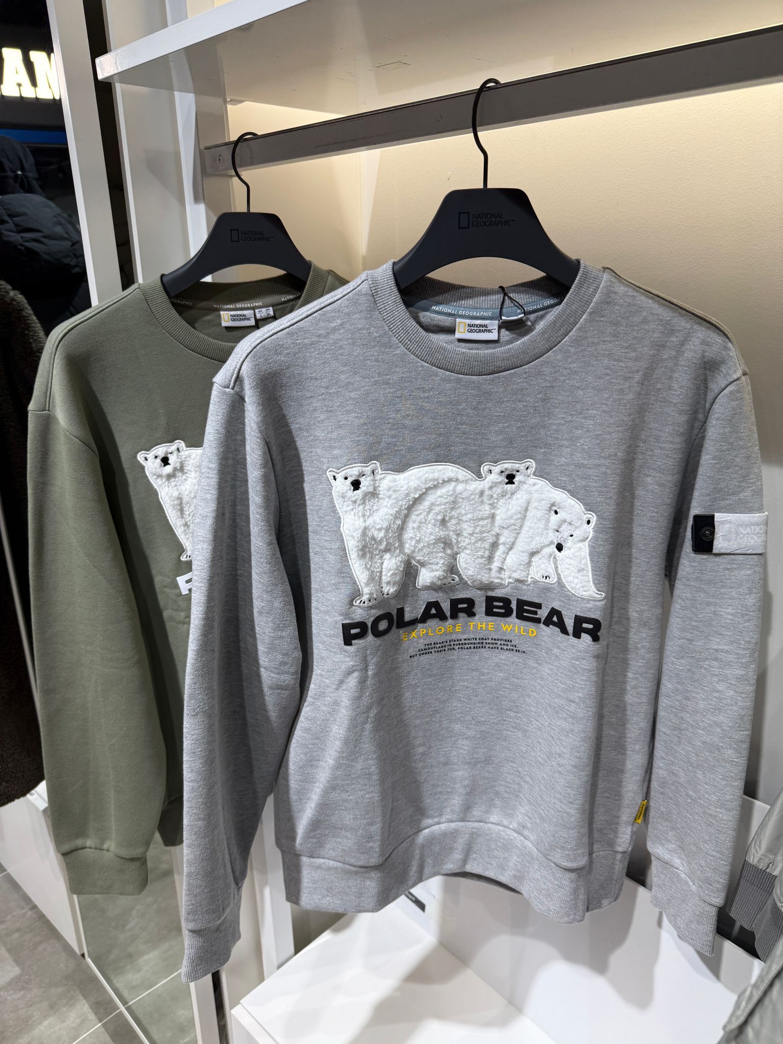 SF018 National Geographic 北極熊衛衣 N234USW030