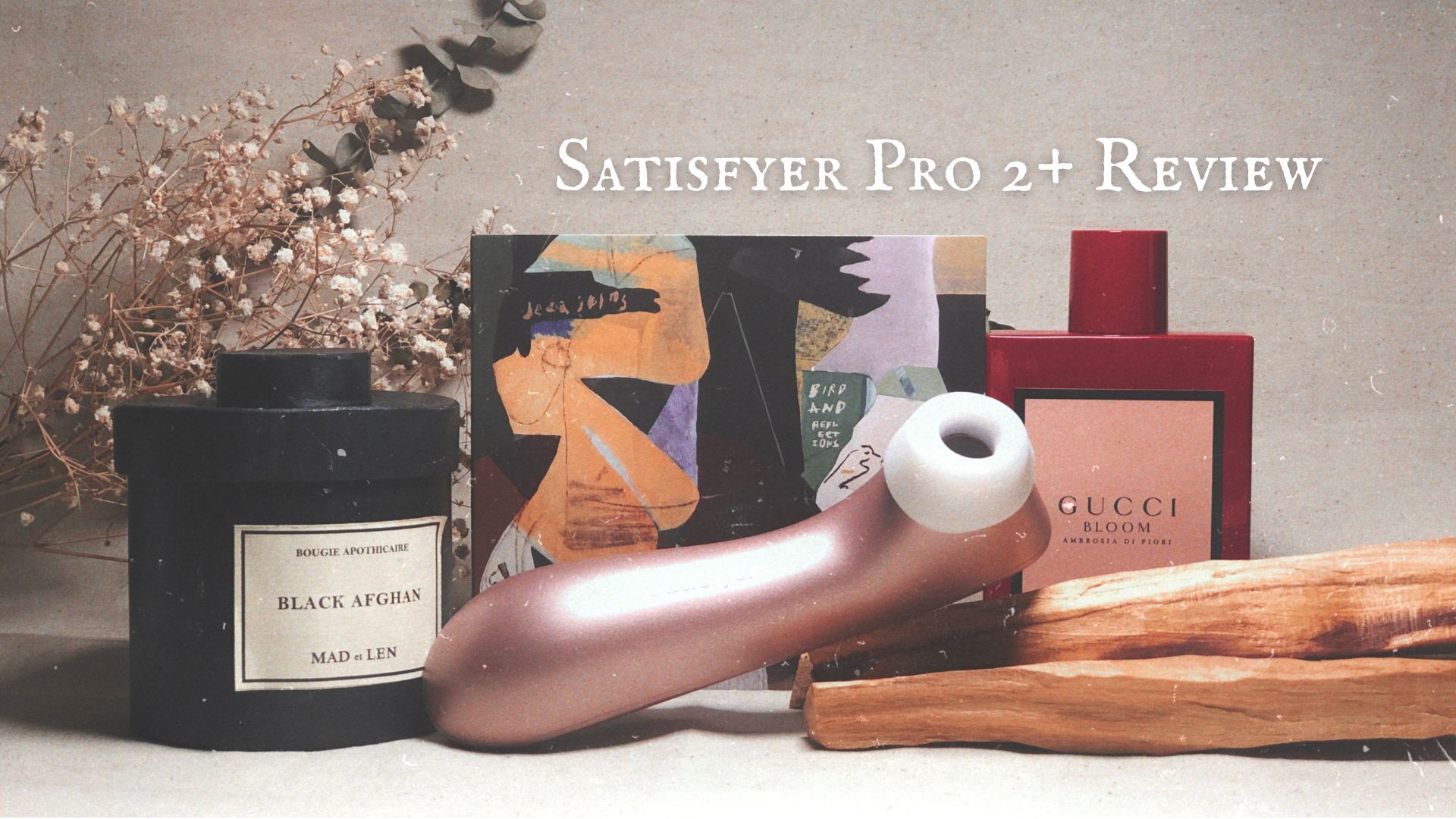 Satisfyer Pro2 Gen2 震動陰蒂吸啜器詳細評測封面