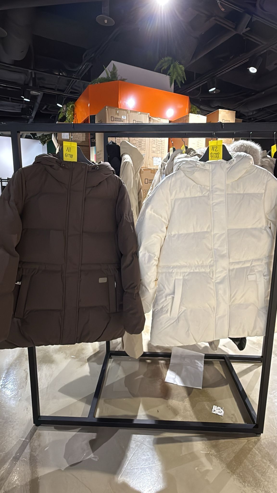 SF037 National Geographic 羽絨外套 N254WDW080