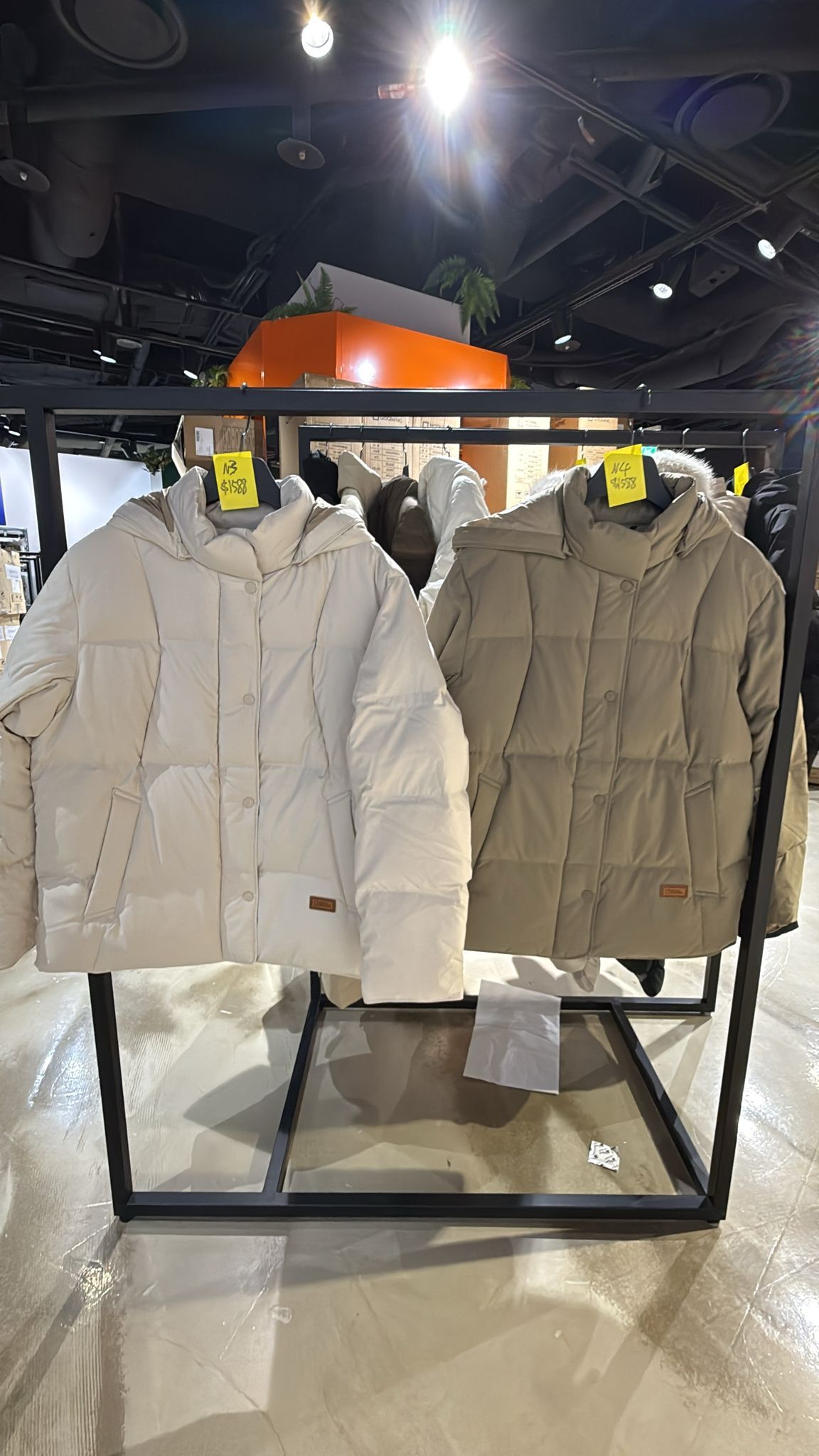 SF038 National Geographic 羽絨外套 N254WDW050