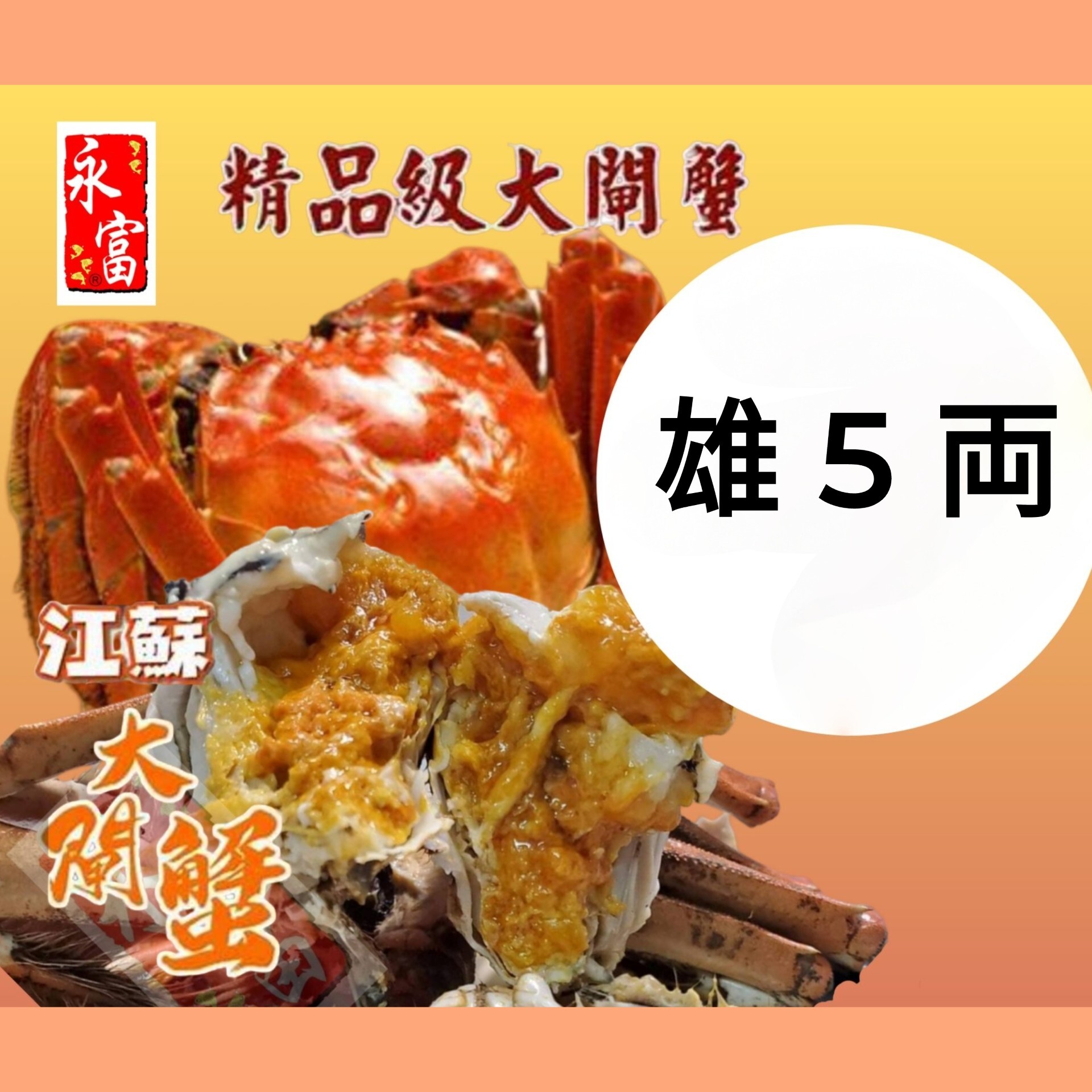 江蘇大閘蟹(雄約5兩)