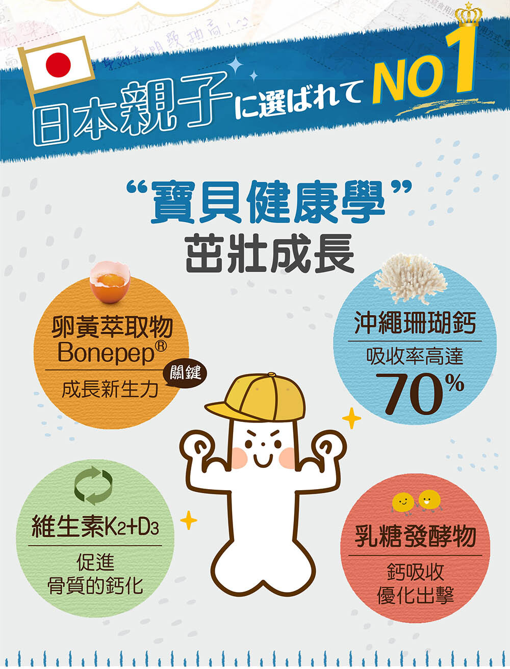 IKOR 向高樂 珊瑚鈣 Boenepep 說明圖3